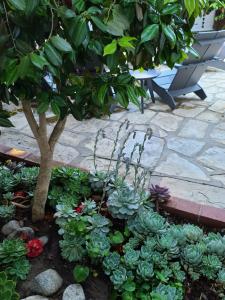 The Vagabonds House Boutique Inn