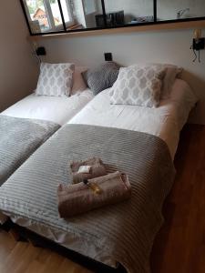 Appartements STUDIO 21 M2 TOUT EQUIPE : photos des chambres
