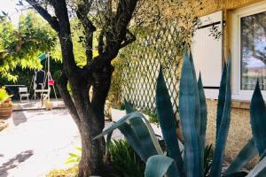 Appartements House with marvellous garden, downtown by walk : photos des chambres