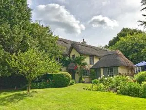 Beck Cottage, Wood Green, New Forest UK - 索尔兹伯里