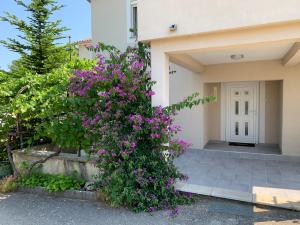 NEW Apartment Ema II