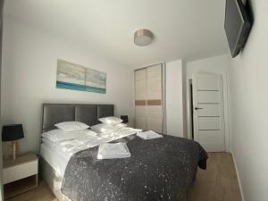 DWP Apartamenty C26
