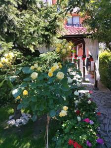 Boutique Guest House IKONOMOV