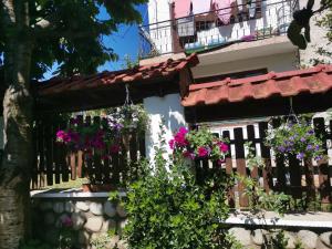 Boutique Guest House IKONOMOV