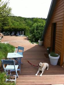 Maisons de vacances Loft 