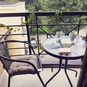 Anilux studio - 弗尔尼亚奇卡矿泉镇