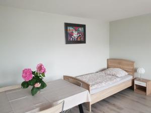 Mainzimmer Business Appartment - Monteurwohnung mit Burgblick
