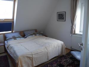 FeWo BlumenPott
