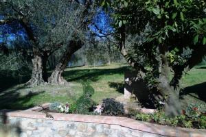 Il Picchio Verde