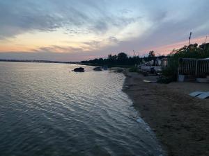 Przyczepa Surf Relax