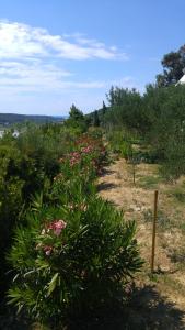 Apartment AMMIRARE Rab