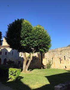 Auberges de jeunesse 