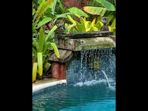 Villa Paradiso Pousada