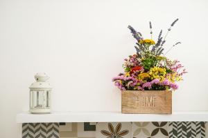 Il rifugio del Leone