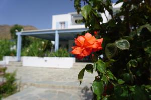 Galazio Sea Side Apartments Seriphos Greece