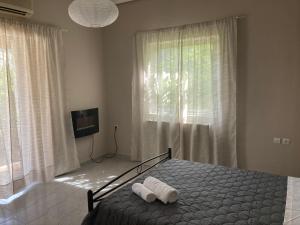 Elegant house by the sea with pool