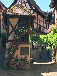 Maisons de vacances Les Terrasses du Donon : photos des chambres