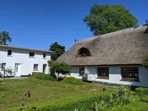 Neuenkirchen Moritzhagen - Grubnow