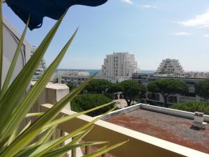 Appartements Le Semaphore - studio climatise, grande terrasse vue mer - parking, wifi : photos des chambres