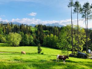 Tatrzańska Polana 5F