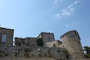 B&B / Chambres d'hotes Chateau de Vedene : photos des chambres