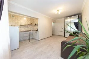 Однокомнатная квартира с евро ремонтом,в тихом дворике. - Sofiivska Borschahivka