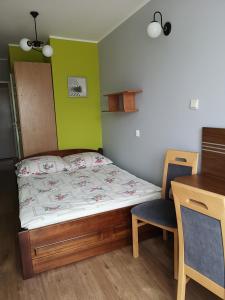 Róża Wiatrów 2 Władysławowo