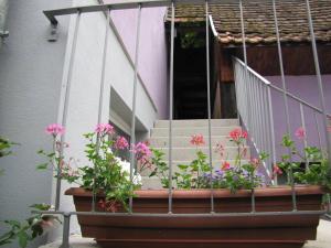 Les Jardins de Lorean