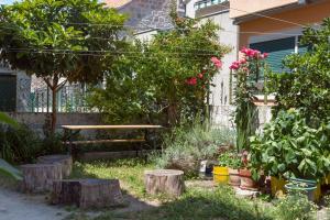 Palazzo D Apartments