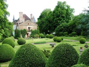 B&B / Chambres d'hotes Gentilhommiere de Lurcy le Bourg : photos des chambres