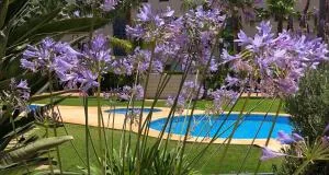 Apartment De Jardines - Denia