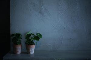 IN Gallery Hotel & Spa