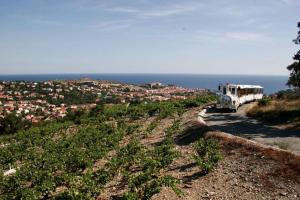 Appartements COLLIOURE Plage, Entree autonome, Climatisee : photos des chambres