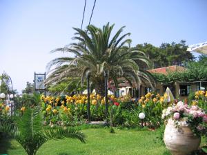 Tara Beach Hotel Kefalloniá Greece