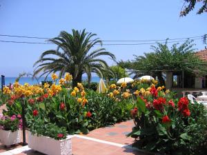 Tara Beach Hotel Kefalloniá Greece