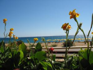 Tara Beach Hotel Kefalloniá Greece