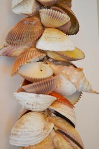 Beachy Chic Zandvoort