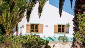 Casa Pulpo Studios