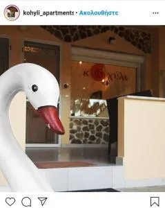 Kohyli Apartments - Skala Rachoniou