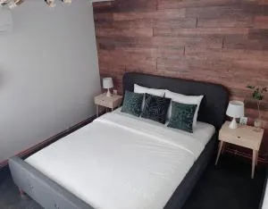 Bulevard mansards - 萨图马雷