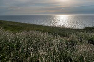 Appartements Villa La Precieuse en front de mer : photos des chambres