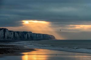 Appartements Villa La Precieuse en front de mer : photos des chambres
