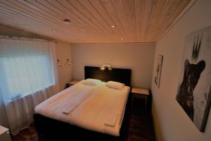 Superior Queen Room room in RIBO Apartment Aurora