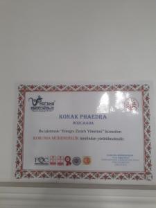 Konak phaedra ( fedra )