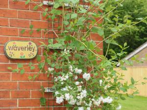 Waverley
