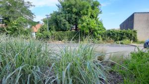 Appartements PAREE D EAU 104 - Residence avec piscine - Appartement rez de jardin 1 chambre : photos des chambres