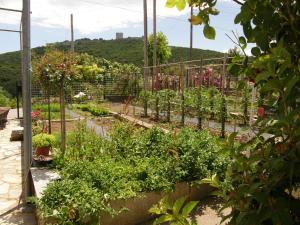 Orfeas -Vacation Home Olympos Greece