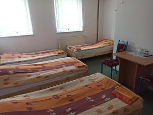 Gościniec Silver