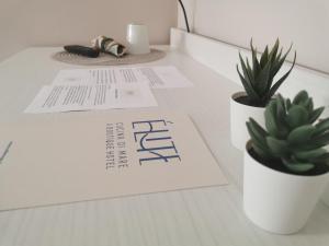 Elite Boutique Hotel