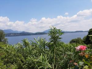 BMP APARTMENT GIOIOSA 1 terrazza vista Lago